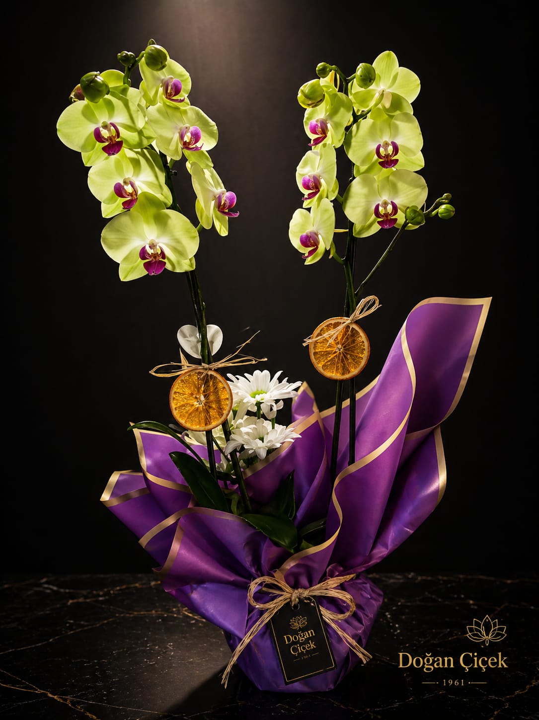 �iftdall� Orkide