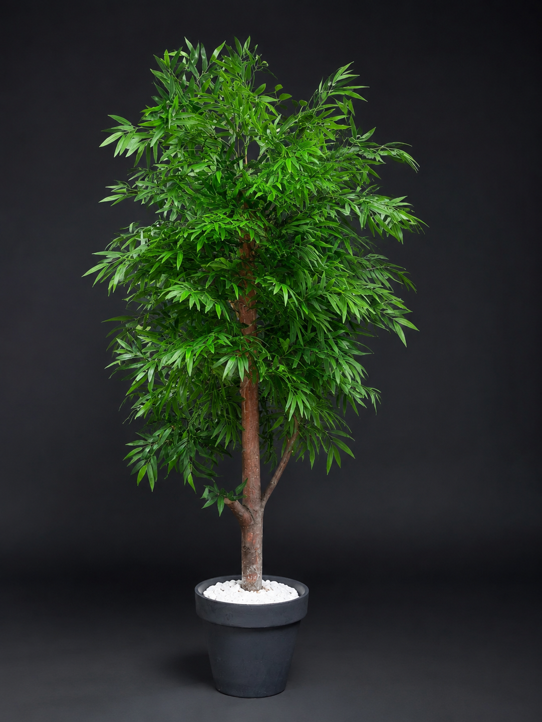 Yapay amcu Agac� 200 cm